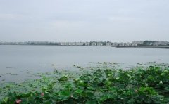 湖北省第一个百强县素有“江南聚宝盆”的佳誉